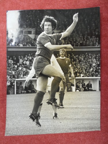 Liverpool lupi div 1 9 - |,