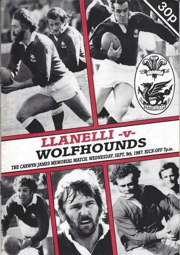 Llanelli wolfhounds 9 - llanelli,
